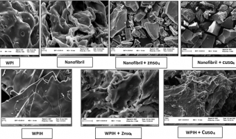 Innovative Organic Supplement for Ruminants Patented by University of Birjand Researchers