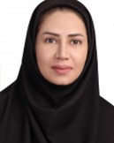 Marziyeh Saghebjoo